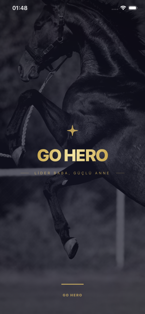 GO HERO