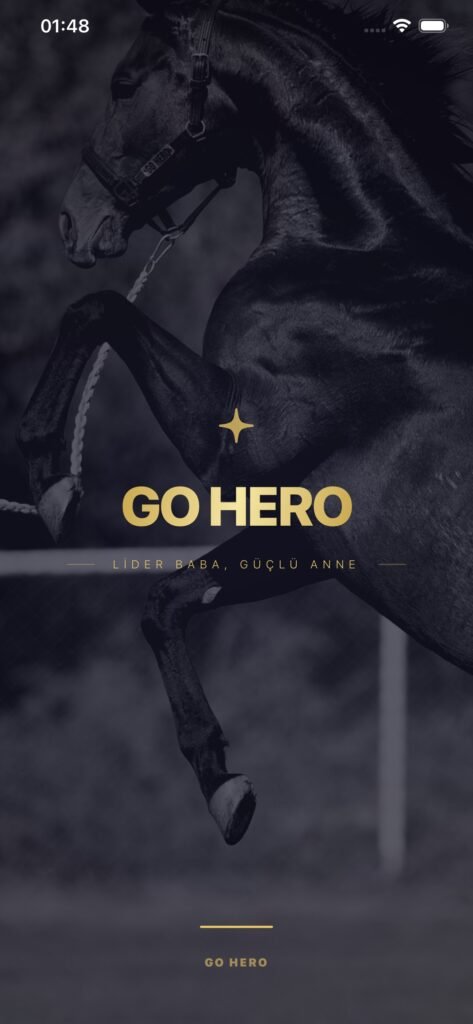 GO HERO