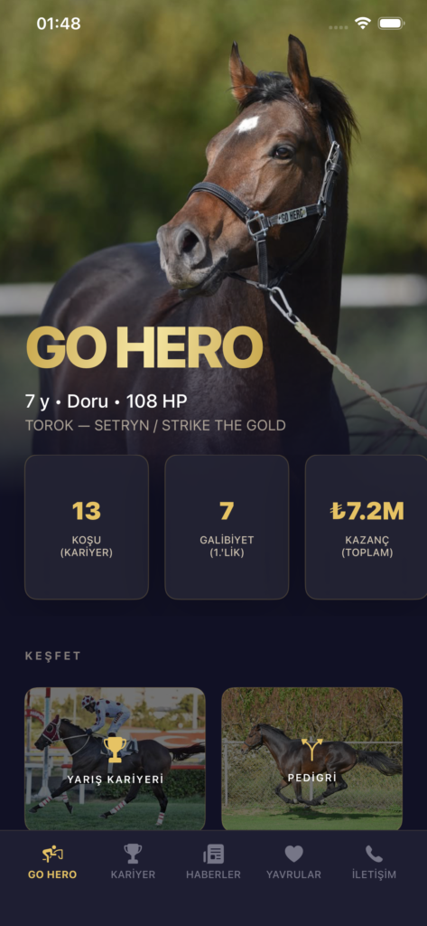GO HERO