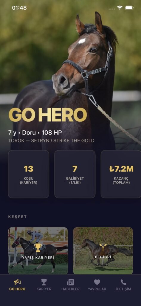 GO HERO - Aygır Tanıtım
