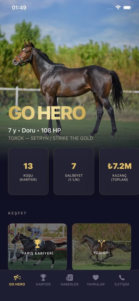 GO HERO - Aygır Tanıtım