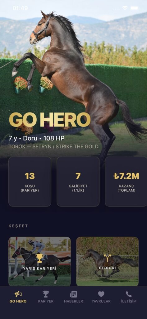 GO HERO - Aygır Tanıtım