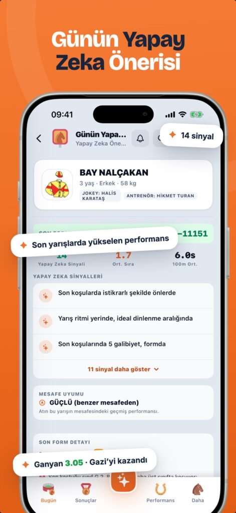 Yarış Analiz At Yarışı Tahmini
